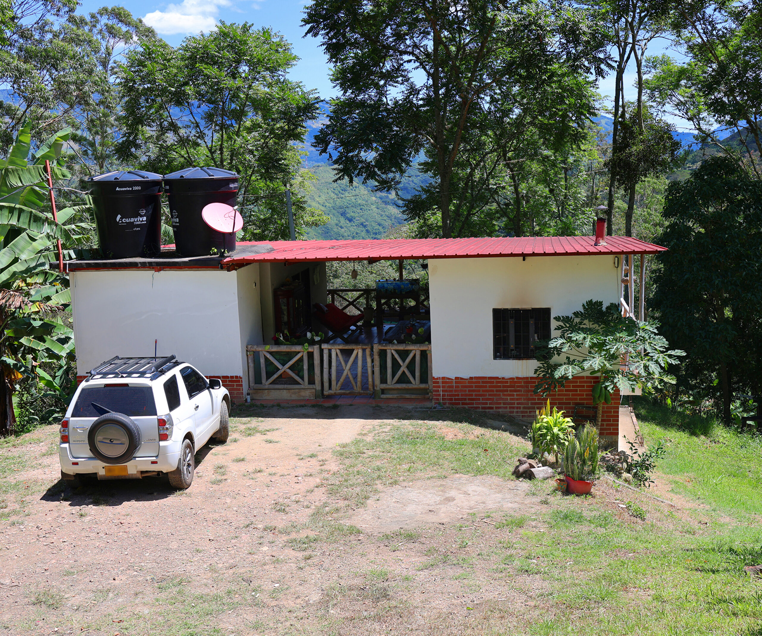 Cultivo de Limón Tahití